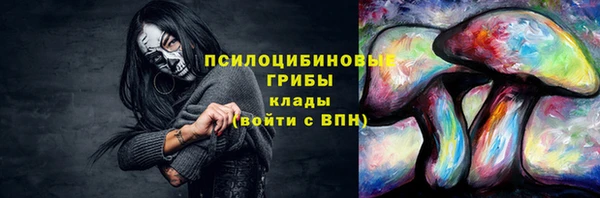 гашик Алексин