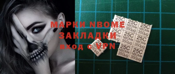 гашик Алексин