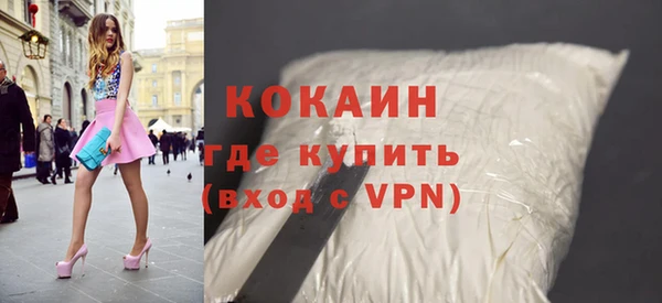 гашик Алексин