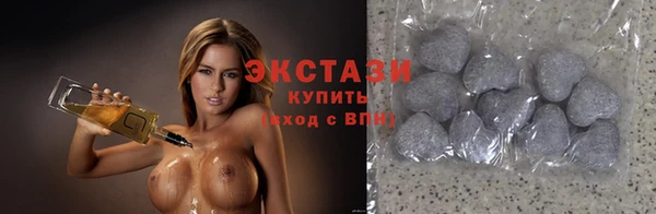 гашик Алексин
