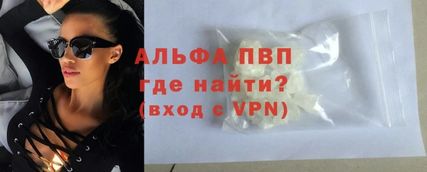 гашик Алексин