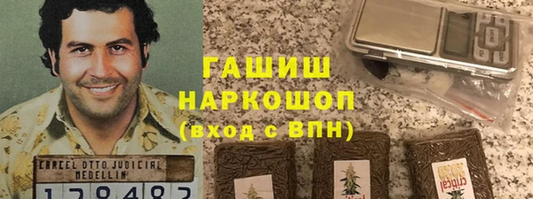 гашик Алексин