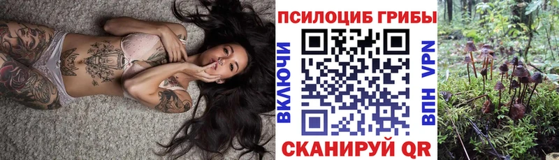 Галлюциногенные грибы Psilocybe  Плавск 